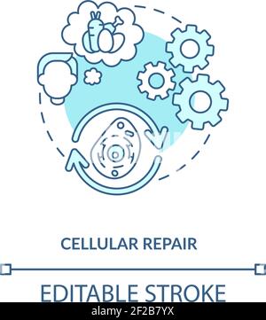 Cellular repair blue concept icon Stock Vector