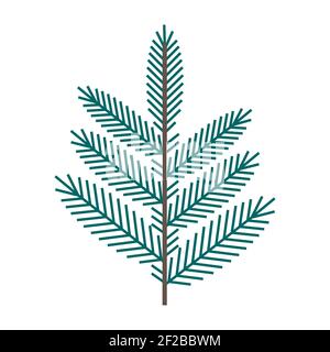 Simple minimalistic green branch of a spruce with needles. Floral collection of elegant plants for seasonal decoration. Stylized icons of botany. Stock Vector