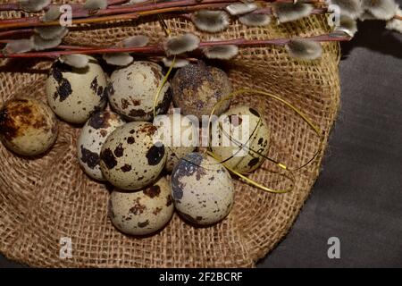Top view Easter quail eggs in bagging and willow branches on a dark background Stock Photo