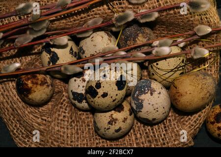 Top view Easter quail eggs in bagging and willow branches on a dark background Stock Photo