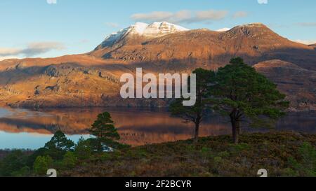 Native Scots pine with Loch Maree and Slioch beyond, highland Scotland Stock Photo