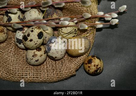 Top view Easter quail eggs in bagging and willow branches on a dark background Stock Photo