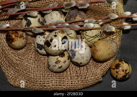 Top view Easter quail eggs in bagging and willow branches on a dark background Stock Photo
