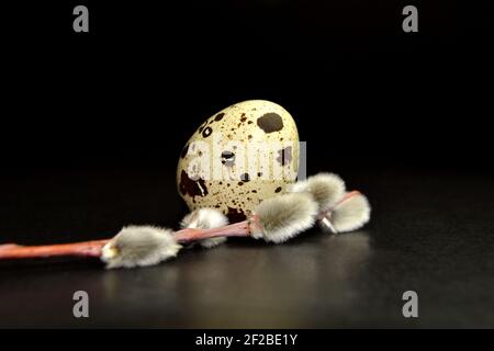 Easter egg and willow branch on black background Stock Photo