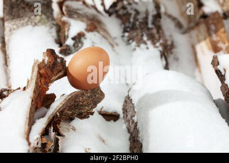 Chicken eggs in the snow. A modern composition about village life. Easter theme Stock Photo