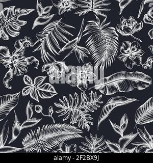Seamless pattern with hand drawn chalk monstera, banana palm leaves, strelitzia, heliconia, tropical palm leaves, orchid Stock Vector