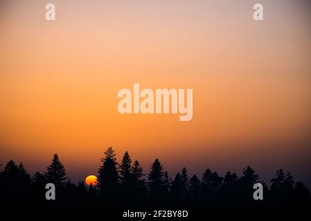 Sun goes down behind the top of the trees during sunset in Winter with orange sky Stock Photo