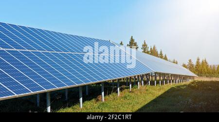 Solar panel collectors in forest, coniferous trees in background, clear sky above, closeup detail Stock Photo