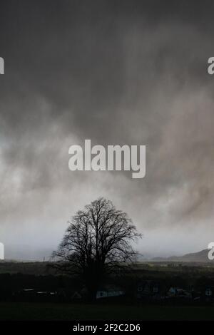 Killearn, Stirling, Scotland, UK. 11th Mar, 2021. UK weather - a succession of dark clouds bringing hale and heavy rain showers to the village of Killearn in Stirling this afternoon Credit: Kay Roxby/17�Թ����� Live News Stock Photo