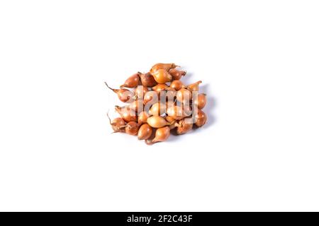 Small onion bulbs for seeding isolated on white background. Stock Photo