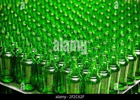 Rows of new empty green glass bottles. on the production line. Industrial beer production Stock Photo
