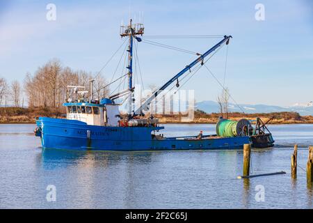 Commercial fishing vessel Sun Maiden returning to Steveston Harbour British Columbia Canada Stock Photo