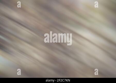 Abstract blurred backgrounds of light tan color tone with flare light Stock Photo