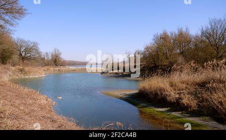 Scenic view of a river against sky Stock Photo