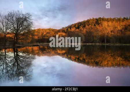 Fishpond close to Lindlar with water reflection during evening mood, Bergisches Land, Germany Stock Photo