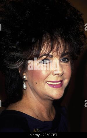 Elizabeth Taylor 1988 Photo By Adam Scull/PHOTOlink.net /MediaPunch ...