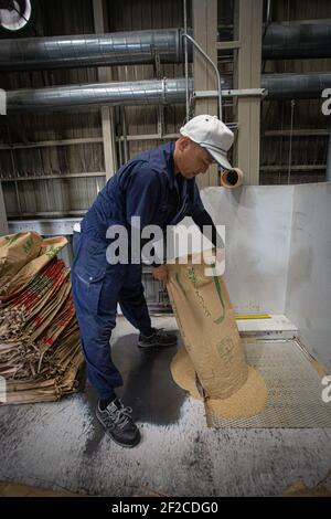 Japan/Hyogo prefecture/Producing Japanese sake/ Rice milling factory. Stock Photo