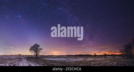 Landscape of zodiacal light with stars and a tree Stock Photo