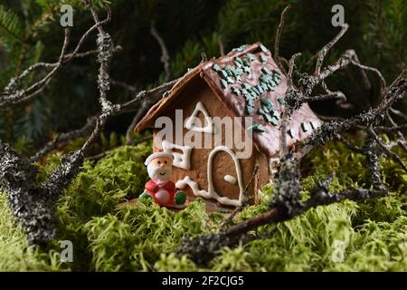 Homemade Christmas gingerbread house and smiling marzipan Santa Claus in forest with green moss and dry branches foreground Stock Photo