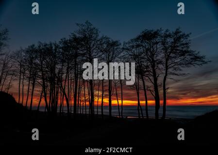 sunset on the sea shore with a view through the silhouettes of trees and beautiful clouds painted in sunset colors in warm tones Stock Photo