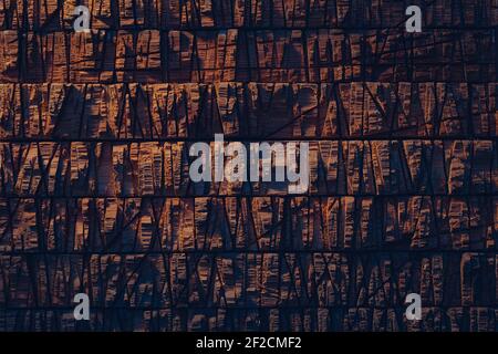 Dark brown wood texture background in sunset light Stock Photo
