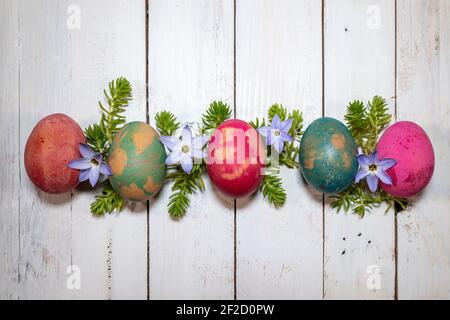 A touch of Easter and Spring. Coloured eggs with succulents and little flowers on a white wooden background. Stock Photo