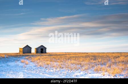 Two old vintage farm sheds sit on a winter harvested field on the Canadian prairies in Rocky View County Alberta Canada. Stock Photo