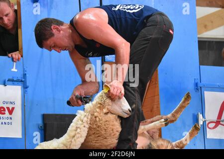 World Sheep shearing championships France Stock Photo