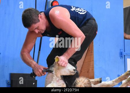 World Sheep shearing championships France Stock Photo