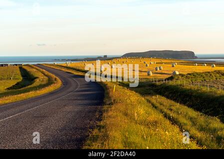 Deserted country road through grassy fields dotted with hay bales  leading down to the ocean under summer midnight light in Iceland Stock Photo