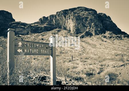 A directional  trail sign in the Sonoran desert with peaks and Saguaro cacti and blue sky in Picacho Peak State Park, AZ, USA, in split tone Stock Photo