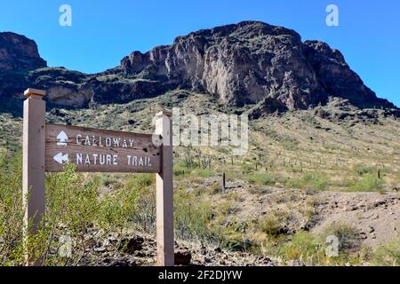 A directional  trail sign in the Sonoran desert with peaks and Saguaro cacti and blue sky in Picacho Peak State Park, AZ, USA Stock Photo