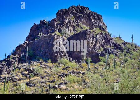 Stands of Saguaro Cacti surround the peaks and cliffs in Picacho Peak State Park, in the Sonoran desert in Southern Arizona Stock Photo