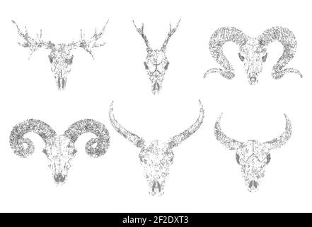 Vector set of silhouettes skulls of horned animals buffalo, deer, bull and ram on white background. Grunge style. Monochrome image. For you design, pr Stock Vector
