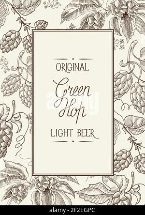 Monochrome square frame composition with words about original green hop light lager in the center of card hand drawn sketch vector illustration Stock Vector