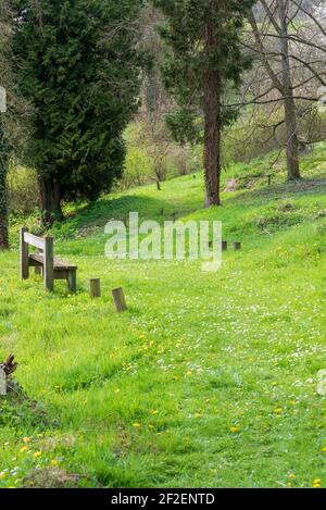 The arboretum that stands in place of the village of Craonne that was completed destroyed during the Malmaison offensive at the Chemin des Dames Stock Photo