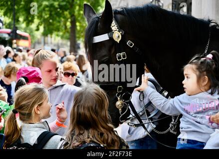 Young tourists surround a horse. Horseguards Parade, Whitehall, London. UK Stock Photo