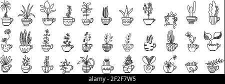 Plants in pots doodle set. Collection of hand drawn various homegrown pants and flowers in pots for home interior decoration isolated on transparent background Stock Vector