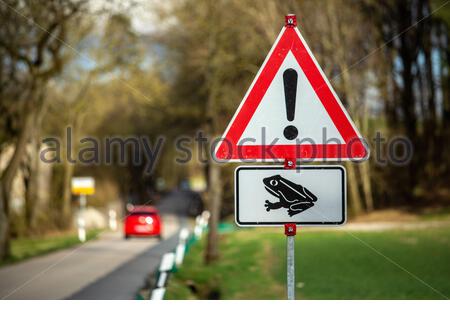 A red warning sign for drivers on a country road in Germany as frogs enter mating season. Common frogs awake from hibernation in Spring. Stock Photo