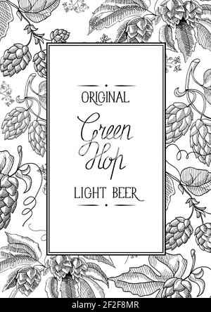 Monochrome square frame composition with words about original green hop light lager in the center of card hand drawn sketch vector illustration Stock Vector