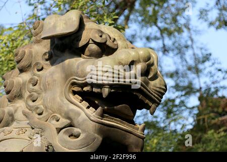 Bronze Guardian Lion Statue in Yonghe Temple (Lama Temple) in Beijing, China Stock Photo