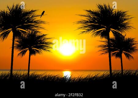 Illustration of silhouettes of palm trees on a tropical beach under an orange sunset sky background Stock Photo