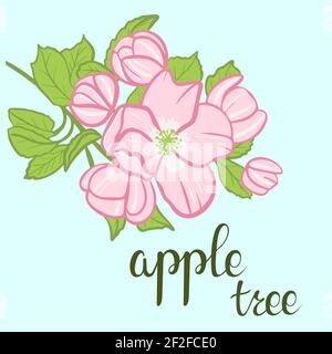 Blooming apple tree branch, sketch. Color illustration, freehand drawing. Apple tree flowers with leaves on a branch. Branch with flowers and an inscr Stock Vector