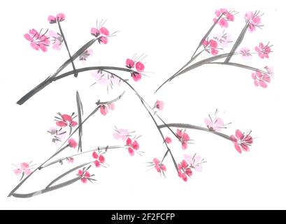 Traditional Chinese Painting. Cherry tree flowers on the branch of tree. Stock Photo