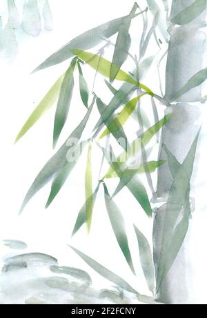 Card with green bamboo in chinese style. Hand-drawn traditional painting. Original art, watercolor painting of bamboo, Asian style painting Stock Photo