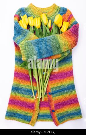 Bouquet of yellow tulips on the background of a multicolored knitted sweater, top view, bouquet of yellow tulips for women's day, spring flowers conce Stock Photo