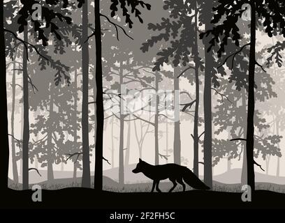 Wondering fox, forest background, silhouettes of trees. Magical misty landscape. Illustration. Stock Vector