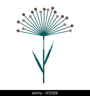 Umbrella of dill or cereal plant. Simple minimalistic green branch with leaves and brown flowers. Nature collection of elegant plants for seasonal dec Stock Vector
