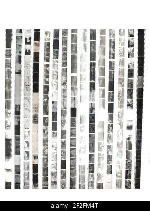 Negatives of monochrome 35mm photographic film isolated on white background.