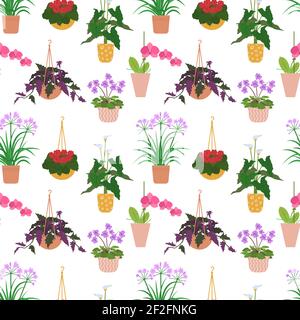 Seamless pattern from different potted house plants in colorful flower pots, orchid and begonia. Stock Vector